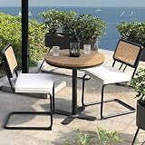 MeetLeisure Patio Dining Chair Set of 2 with Waterproof Design Fabric for Outdoor Mid-Century Modern