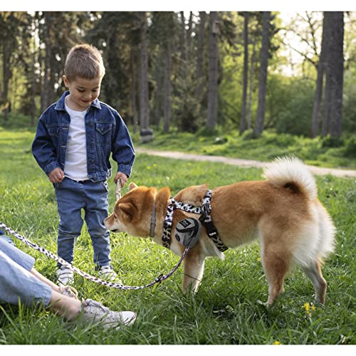FuninCrea Leckerli Tasche Hunde, Futterbeutel Hundetraining mit Integriertem Kotbeutel-Spender Leckerli Tasche Hunde zum Umhängen für Reisen Outdoor-Training (Grau)