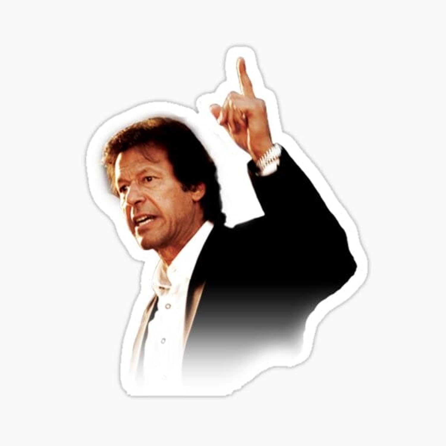 VOLTXVoltx Design Imran Khan PTI Glossys Pakistan Politics | Imran Khan | PTI | Pakistan Tehreek e Insaaf | Vinyl Sticker For Mobile | Laptop / Mobile Decal | Pakistan Zindabad | Laptop Art 6inch