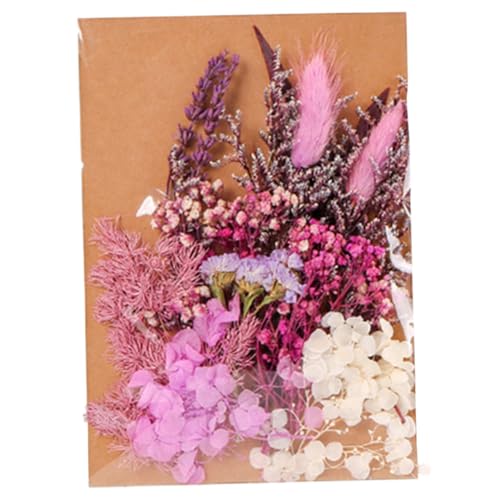 Kit de flores secas para manualidades DIY STOBAZA