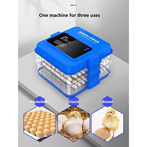 Automatischer Brutkasten Für Eier Kontrollieren Sie Temperatur Und Luftfeuchtigkeit Automatisches Drehen Und… – Bild 6