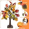 2 Pack 24" Artificial Lighted Maple Trees – Battery Operated Fall Decor With 48 LEDs & Timer – Thanksgiving Table Centerpiece