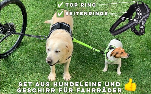 Hunde Fahrradleine und Hundegeschirr, Geschirr mit seitlichen Ringen, inklusive 2 speziellen Fahrrad-Kabelbindern. Patentiert. (Schwarz, L)