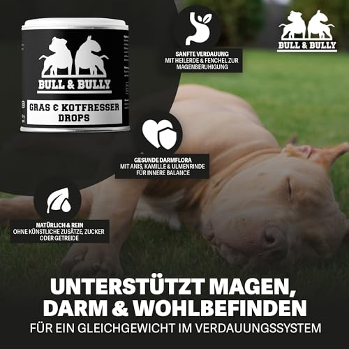 BULL & BULLY – Gras und Kotfresser Drops Hund 350 g (150 Drops) – Gesunde Hundeleckerli gegen Gras- & Kotfressen – Leckerlis Hund zur Unterstützung von Magen & Darm – Anti-Kotfresser Leckerli Hund