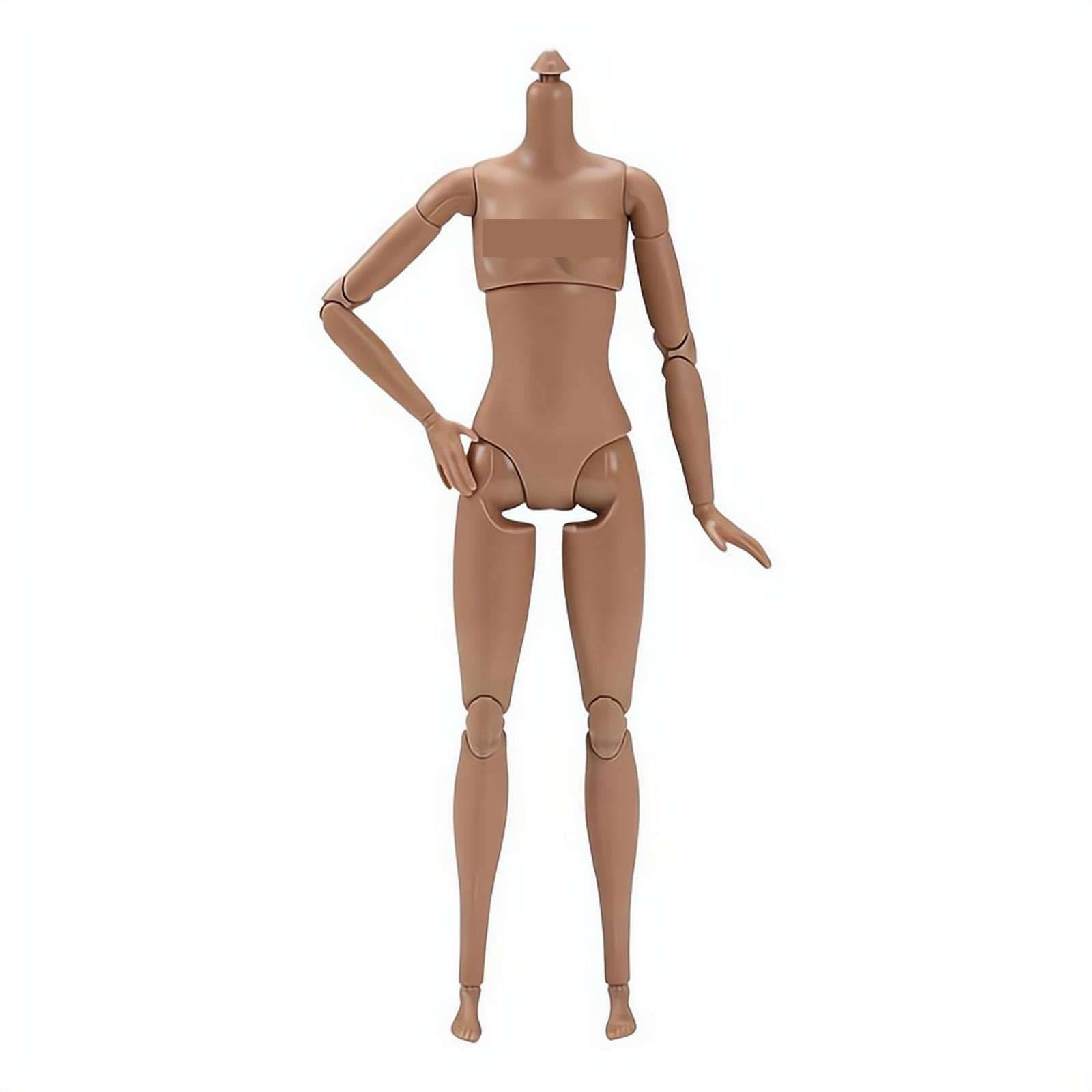 1/6 Scale Female Supermodel Doll Body,Highly Articulated 22 Joint Figure,26cm Smooth Plastic Mannequin for Artists,Compatible with 1/6 Scale Heads and Shoes,Ideal for Display and Collection (Normal)