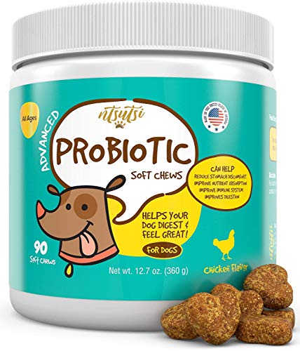 Probiotics for Dogs - Probiotic Digestive Enzymes Supplement - Dog & Puppy Bad