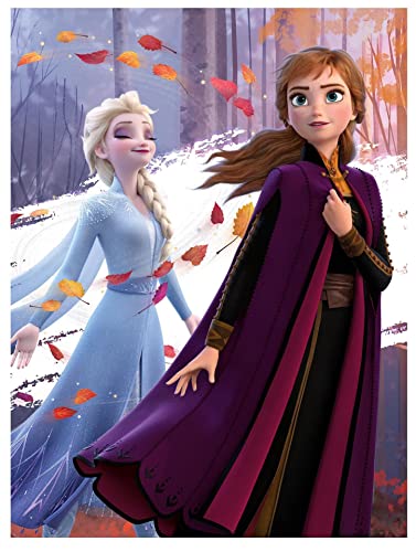 Disney La Reine des Neiges 2 Couverture Polaire Anna et Elsa Nature 100 x 140 cm