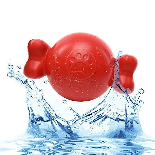 Buy PETS EMPIRE BallBone; Floating Pool Toys for Dogs Durable Rubber