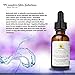 Advanced Vitamin C 20% Serum With Ferulic, Hyaluronic Acid 1 oz
