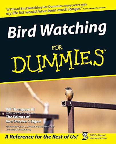 Best Bird Watching For Dummies