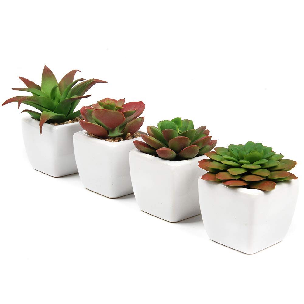 Flojery 4 x Artificial Succulents Plants with Pot Mini Realistic Fake Succulents Ceramic Planter for Desk, Office, Living Room and Home Decoration (Case Orange/White Ceramic Pots)