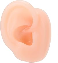 Simulação de orelha direita, modelo de orelha humana artificial, exercícios de impressão da orelha ensinando uso de aparelho auditivo para exibição