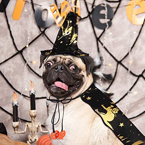 Abaodam Fantasia de Dia das Bruxas, fantasia de gato, fantasia de cachorro, cosplay para animais de