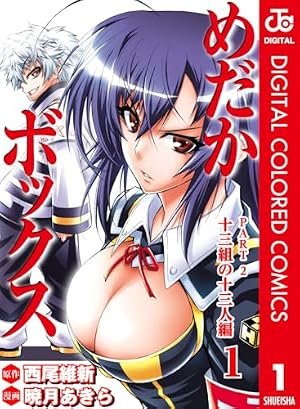 Amazon.co.jp: BLEACH カラー版 47 (ジャンプコミックスDIGITAL) eBook
