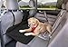 Kurgo Backseat Reversible Dog Bridge Car Extender — Water Resistant — Universal Fit
