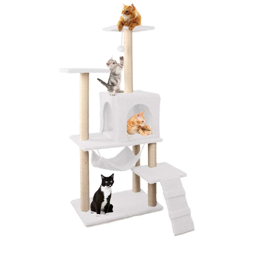 kitten climbing frame