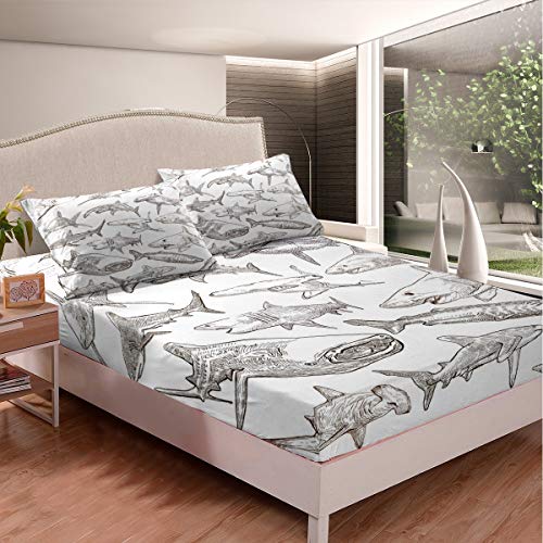 Ocean Life Bed Sheets Shark Bed Sheet Set for Kids Boys Girls Adult Marine Life Sea Animal Bedding Set Dolphin Whale Fitted Sheet Decor Bedroom Collection 3Pcs Double Size