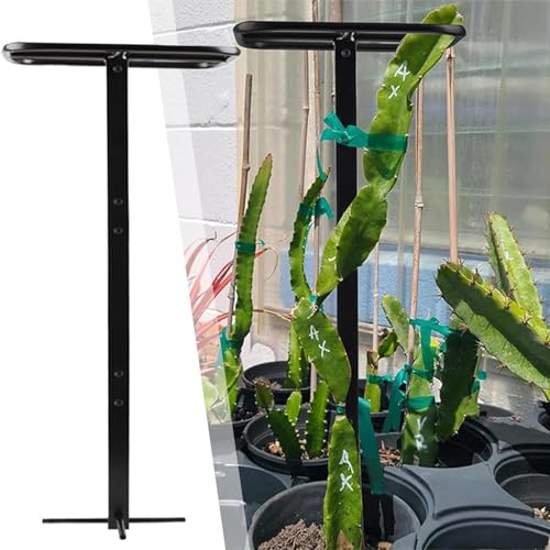 Treillis de support pour d'extérieur robuste contre l'affaissement des cactus