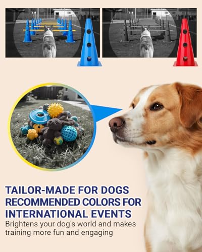 image for Lupar Dog Agility Course Backyard Set, Dog Agility Hurdle Cone Set wit