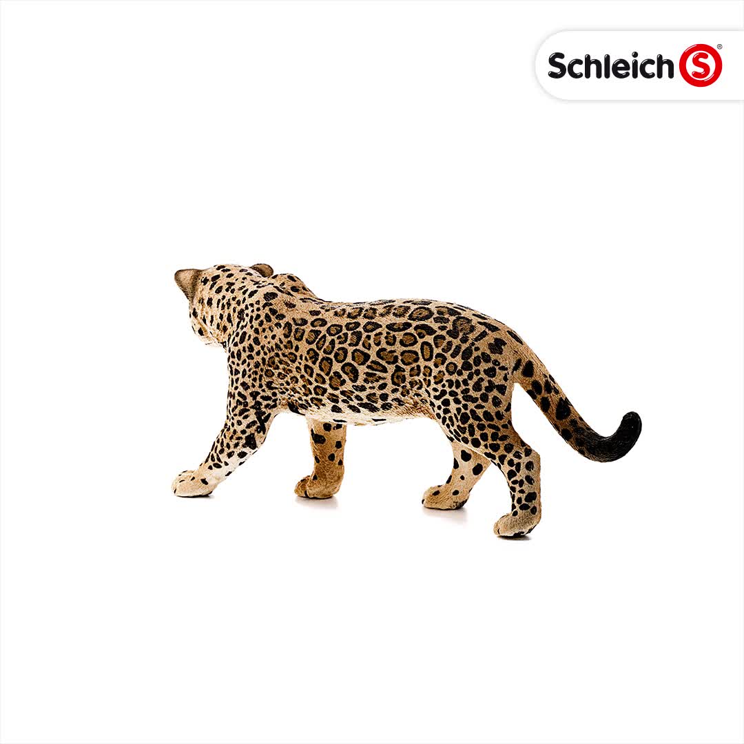 Amazon.co.jp: Schleich シュライヒ WILD LIFE ジャガー 14769 : おもちゃ