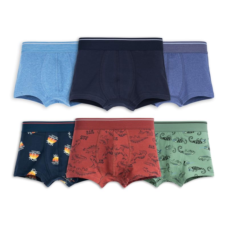 Image of ARIEL Boy's Cotton Multicolor Briefs (Pack of 6)
