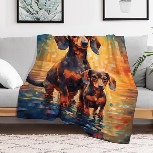 Manta para perro grande en el sofá de salón con forro polar suave 3