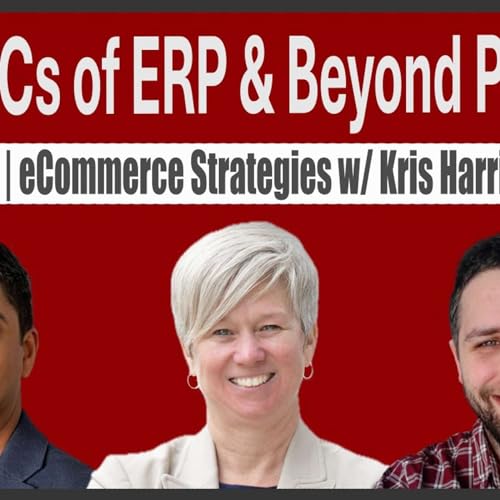 eCommerce ERP Strategy: Multi-Channel Selling & Inventory Sync Podcast Por  arte de portada