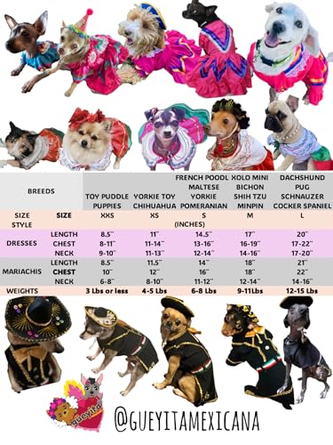 Disfraz mariachi para perro talla L miniatura 3