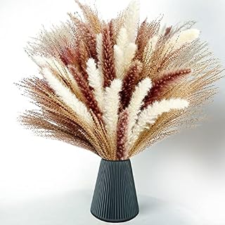 MH Traders Natural Pampas Grass - 60 Pieces. Pampas Grass Large 45 CM, Dried Flowers Bouquet for Vases, Wedding Decorations & Home Decor. Fluffy Pampas Grass Ideal for Outdoor & Indoor Decorations