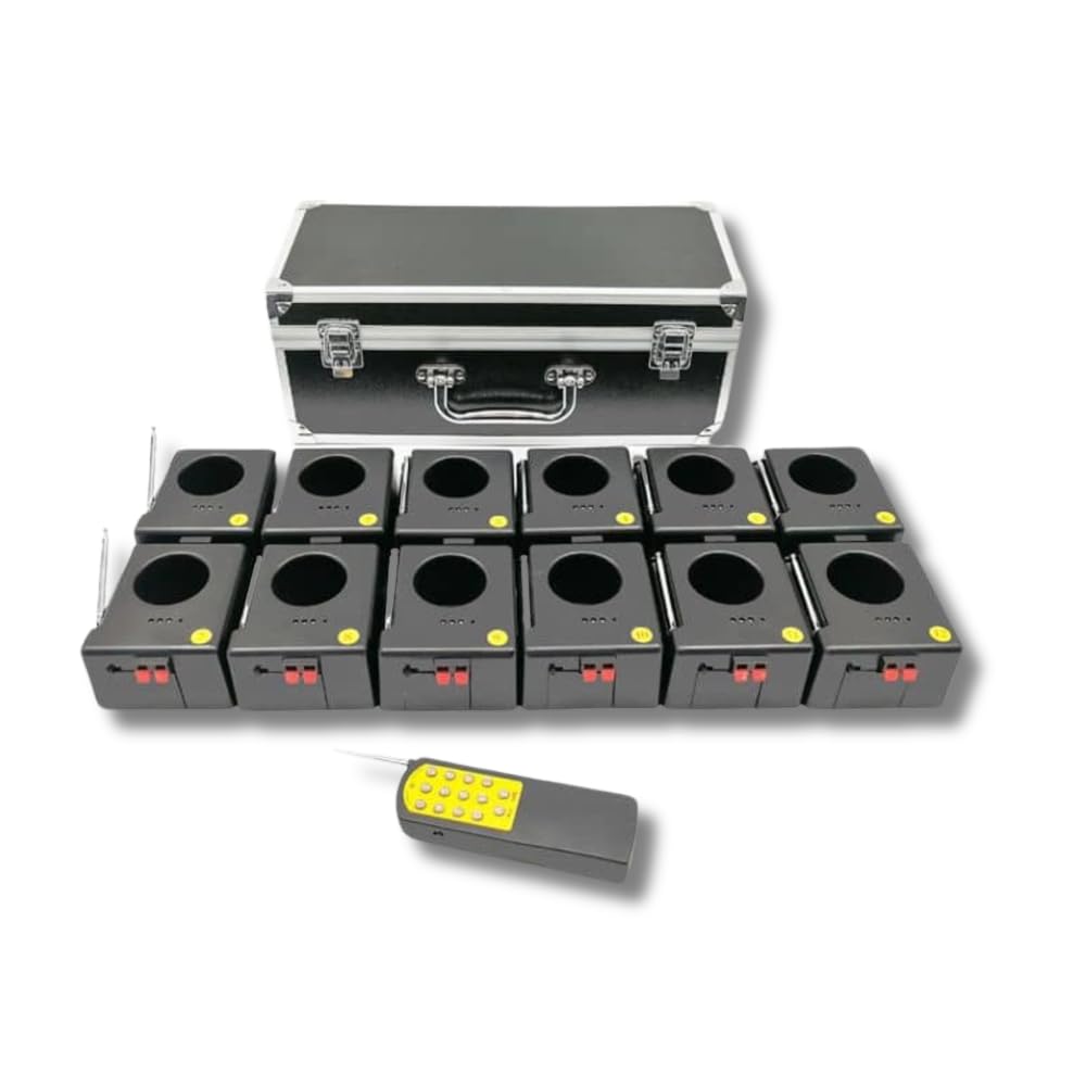 Centralina Fuochi d’Artificio Freddi 12 Canali Wireless con Telecomando – Kit Sistema Pirotecnico per Fontane Fredde e Scintille per Matrimoni, Eventi e Feste, Con Custodia, Batterie 9V Cat.1