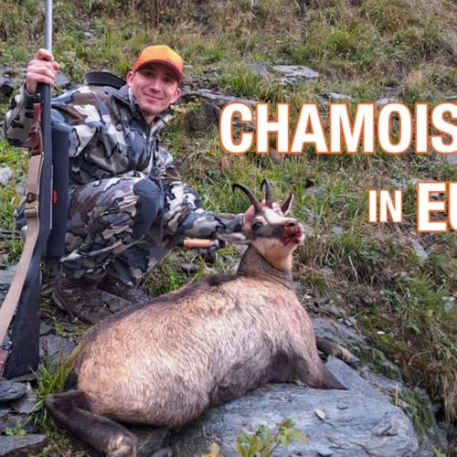Chamois Hunt in Italy's High Alps