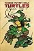 Teenage Mutant Ninja Turtles Classics Volume 1