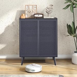 Modern and simple black rattan storage cabinet metal rattan accent cabinet with double doors buffet storage for living room hallway entryway dining room bedroom black  urban country home decor