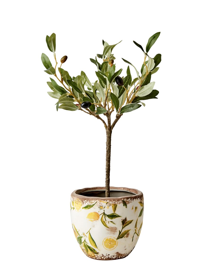 1x Lemon Pattern Plant Pot, Rustic Stoneware Lemon Pot, Weathered White Plant Pots, Succulent Planter, Lemon & Green Leaves Mediteranean Style Plant Pot Covers, Pottery Planter (Extra Small)