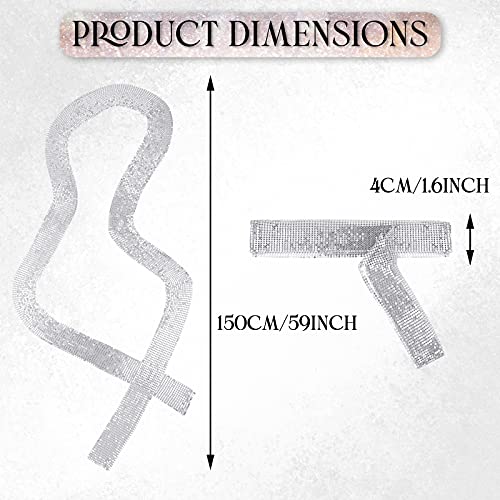 SATINIOR 2 Pcs Gold & Silver Sparkly Skinny Scarf, Disco Style Metal Sequins Neck Tie Scarf, Glitter Thin Neckerchief Shawls for Party, Evening Event, Beach Swimwear, Daily Wear2