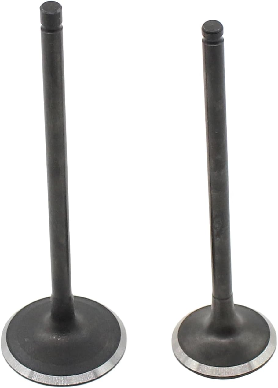 Engine Intake and Exhaust Valves for Kia Forte 2.0 2.4 10-13, Optima 2.0 2.4 09-20, Rondo 09-10, Sorento 2.4 11-20, for Sportage 2.0 2.4 11-22, Hyundai Santa Fe 2.4 10-20, Sonata 2.4 08-19