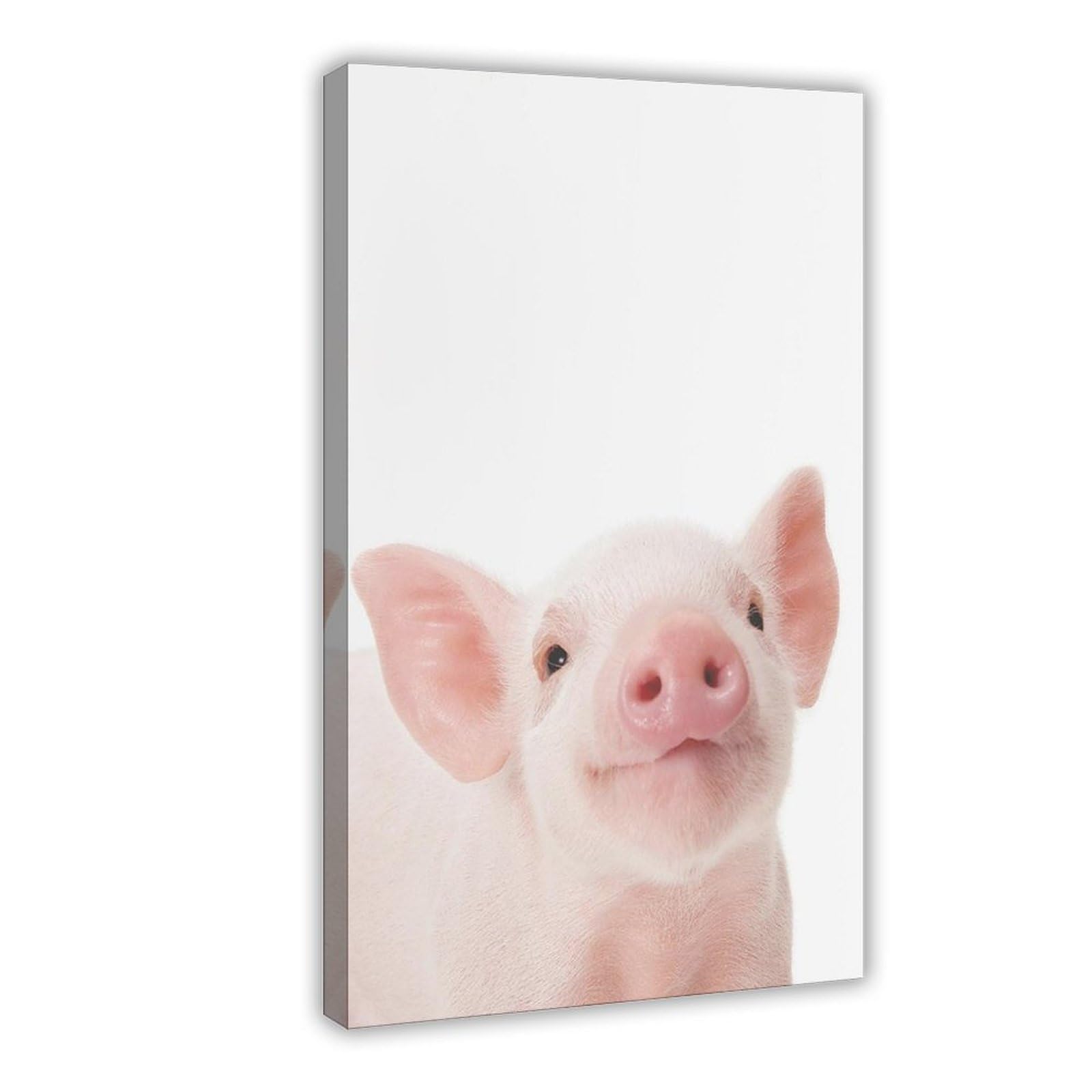 Qnvjqkdsi Frame Baby Piglet, Animal Art Canvas Poster Bedroom Decor Landscape Office Room Decor Gift 12" L X 18" W