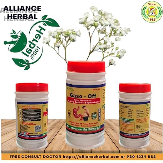 Image of GASO - OFF CHURAN l Herbal Gas & Acidity CARE CHURAN (Powder) 100 gm l Eases constipation & Bowel movement, Abdominal gas,hyperacidity l 10 Herbs Natural Digestive Fakki (Pack Of 2)