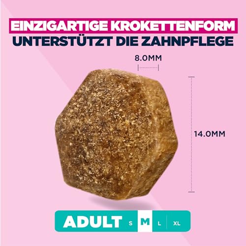 Eukanuba Hundefutter Trocken mit frischem Huhn für mittelgroße Rassen, Premium Trockenfutter für ausgewachsene Hunde, 3 kg