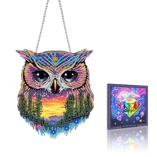 VAIIEYO Owl Diamond Art Hanging Ornament, Animal Diamond Painting Suncatchers Window Hanging Kit with Chain, 7.5x7.5 inch Crystal Pendant Art Craft for Gift Home Wall Front Door Decoration