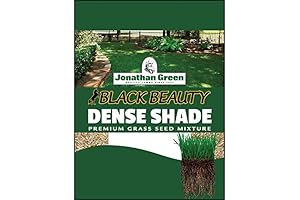 Jonathan Green Dense Shade Grass Seed for a Beautiful, Green Lawn