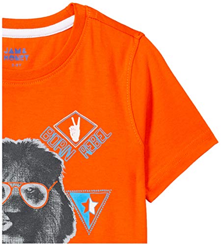 Image of Amazon Brand - Jam & Honey Boy's Regular Fit T-Shirt