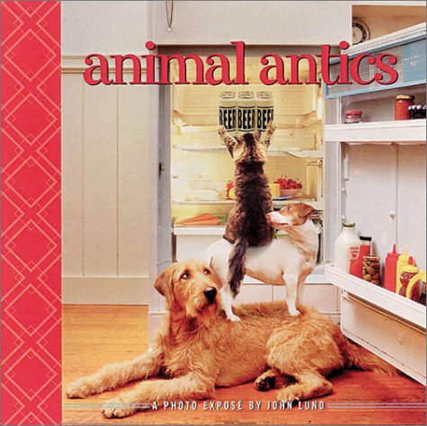 Animal Antics: A Photo Expose: Lund, John: 9780740727009: Amazon.com: Books