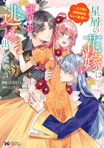 星屑の花嫁は運命の恋から逃げ出したい～王子様と強制結婚なんて無理！～?(3)