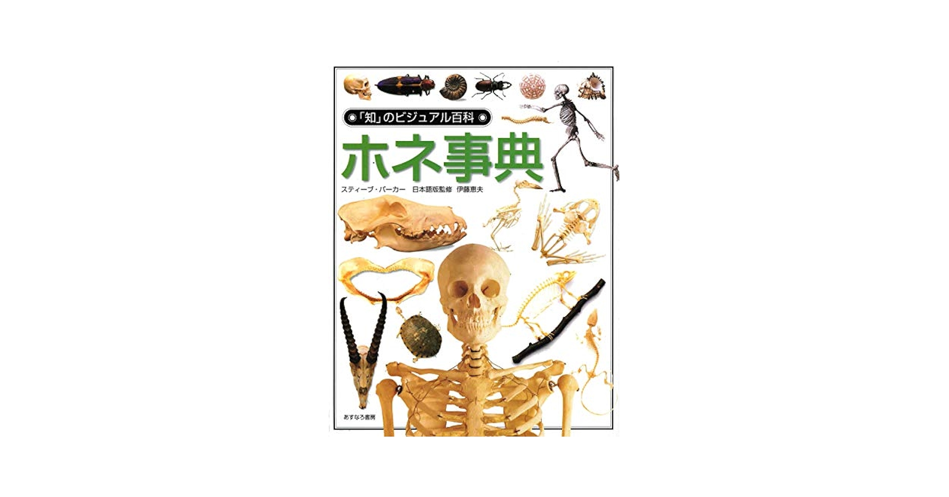 Amazon.co.jp: ホネ事典 (「知」のビジュアル百科 28