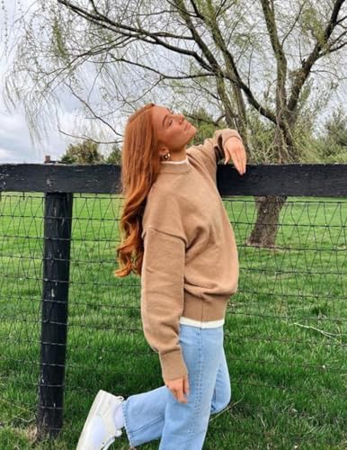 Aelfric Eden Mens Oversized Sweater Fake Two Basic Classic Sweaters Casual Soft Pullover Streetwear Tops4