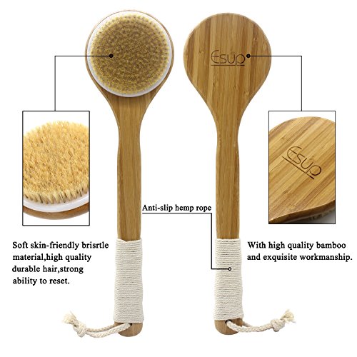 Esup Body Brush Dry Brush Back Scrubber Bath Brush with Long Bamboo Handle for Cellulite and Exfoliating, Perfect Christmas Gifts for Woman and Wen - Thumbnail 5