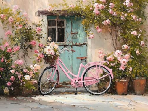 Pintar por números adultos retro bicicleta kit completo con pinturas acrílicas para cuadro de 40x50 cm