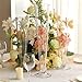 Craft and Party, Sets of 6, Clear Trumpet Vases, 24