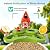 NEEZUKAR Smart Bird Feeder with Camera Solar Powered, AI Species Identification, 2K HD Video, Instant Arrival Alerts, Weatherproof Design for Outdoor, Best Gift for Bird Lovers(Green)